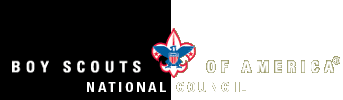 BSA Logo