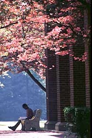 Bucknell University logo